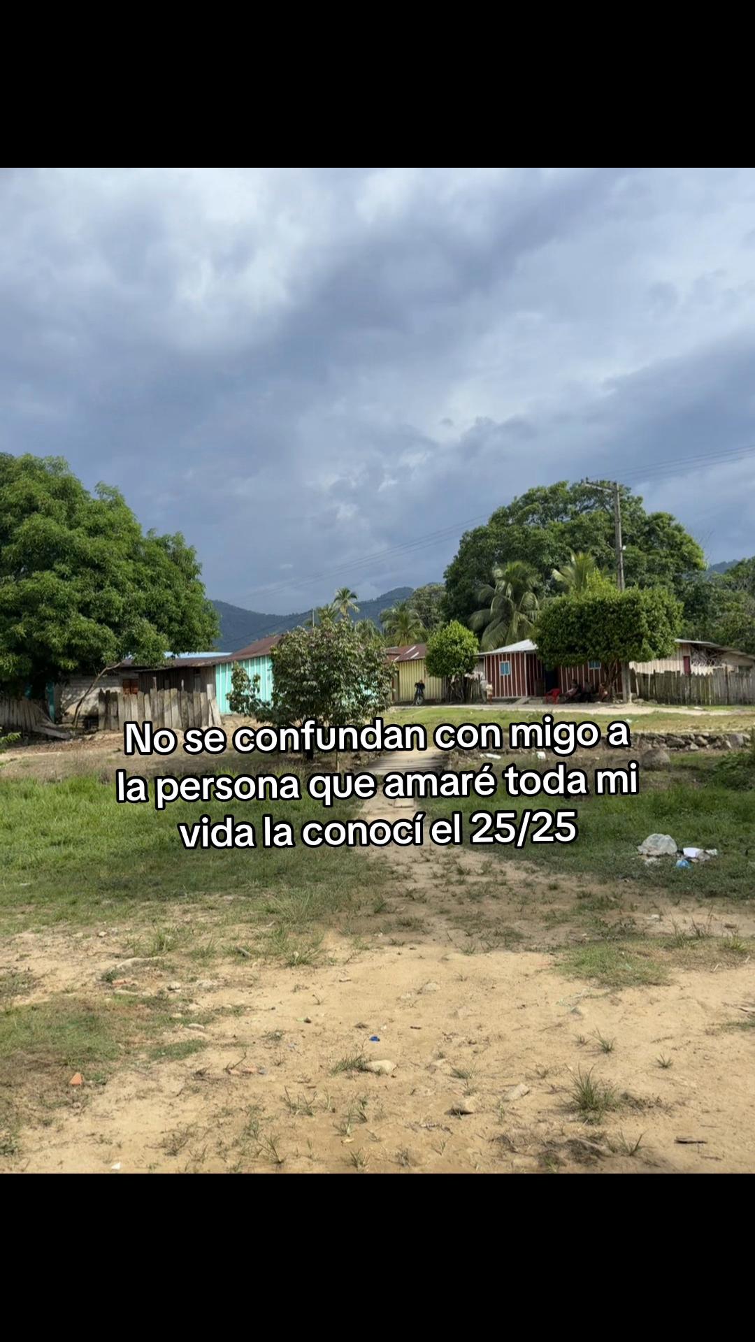 @ANDREA VERGARA