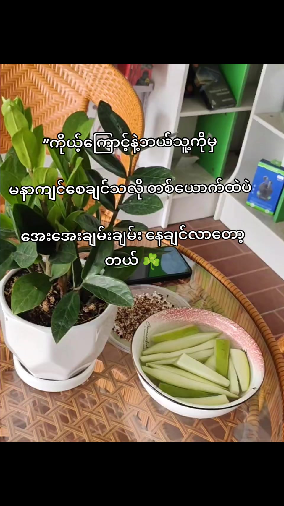 @Kim Zuri