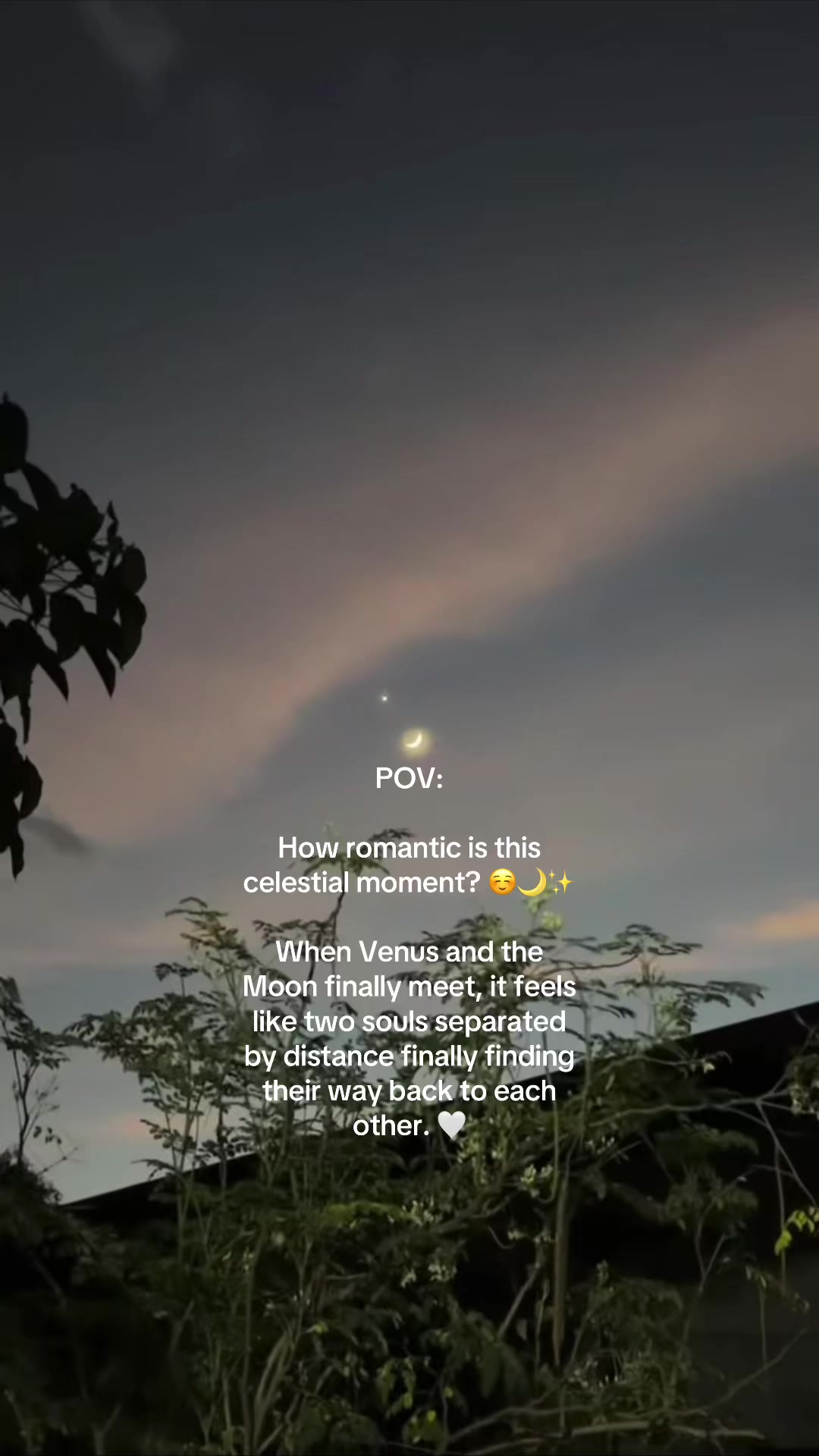 @micacaiba