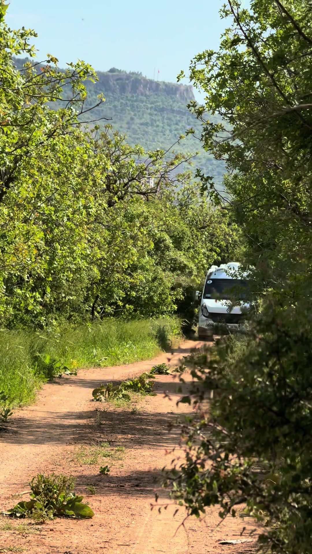 @dılbirin
