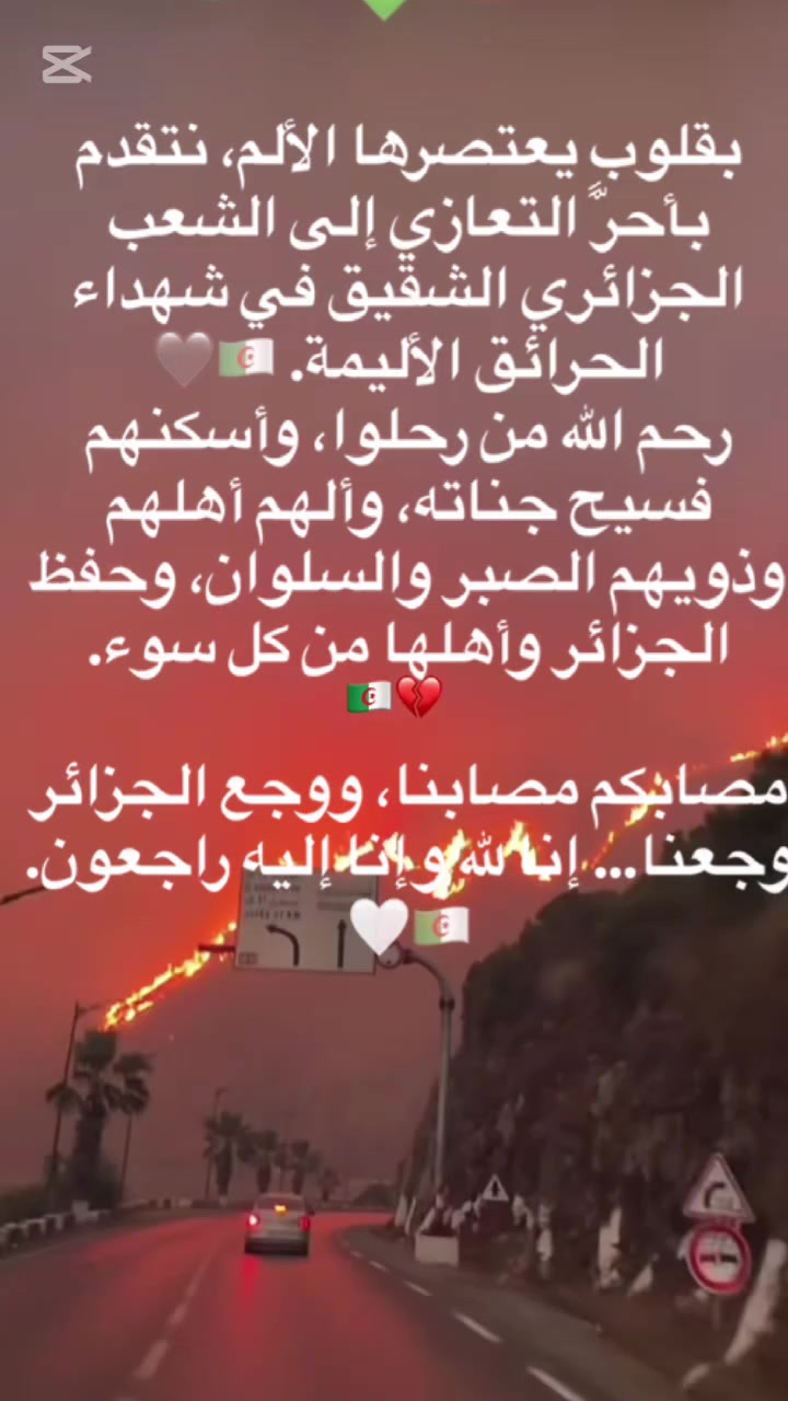 @🌸⚜️الملكه رورو ⚜️🌸