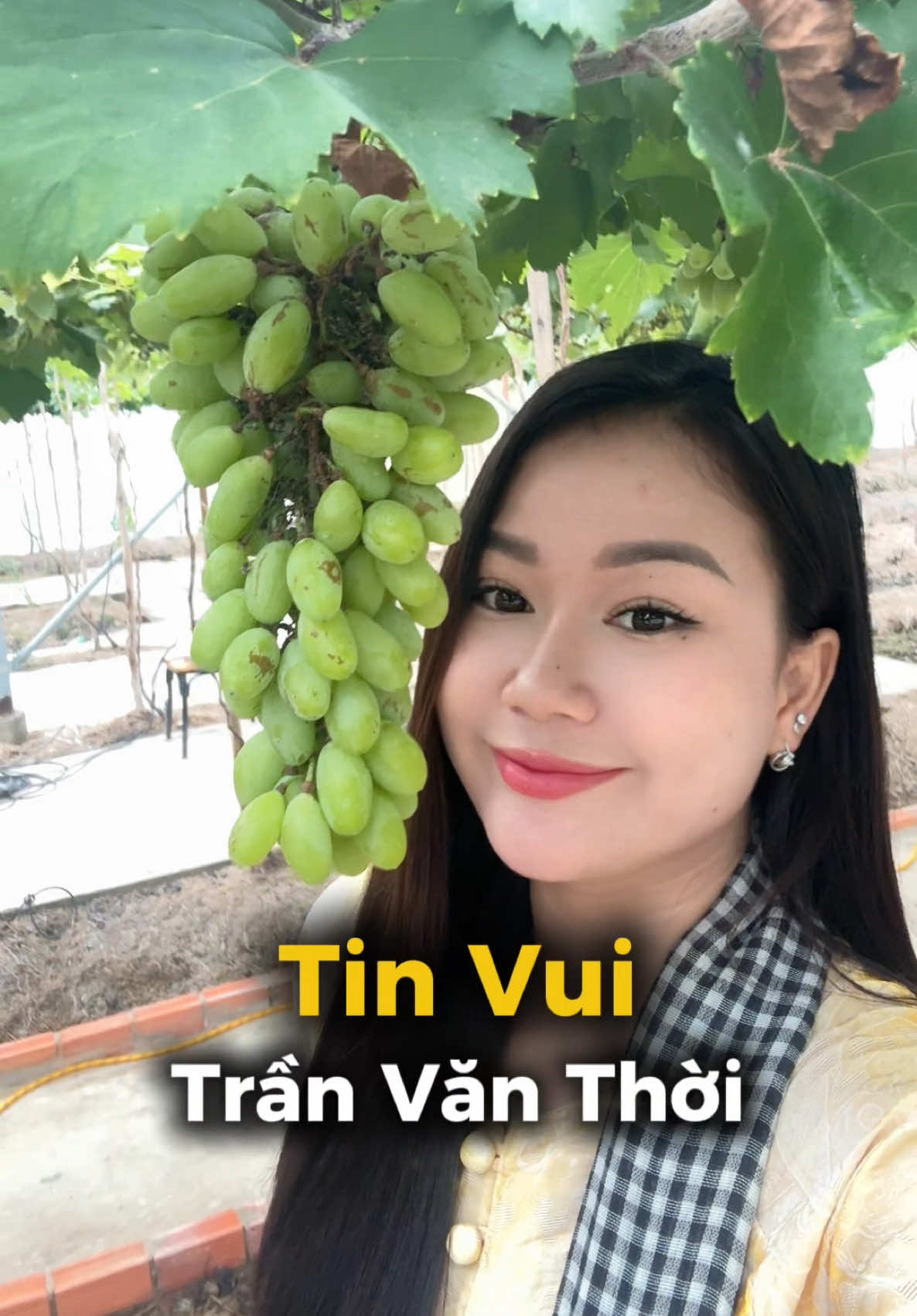 @B&eacute; Rồng