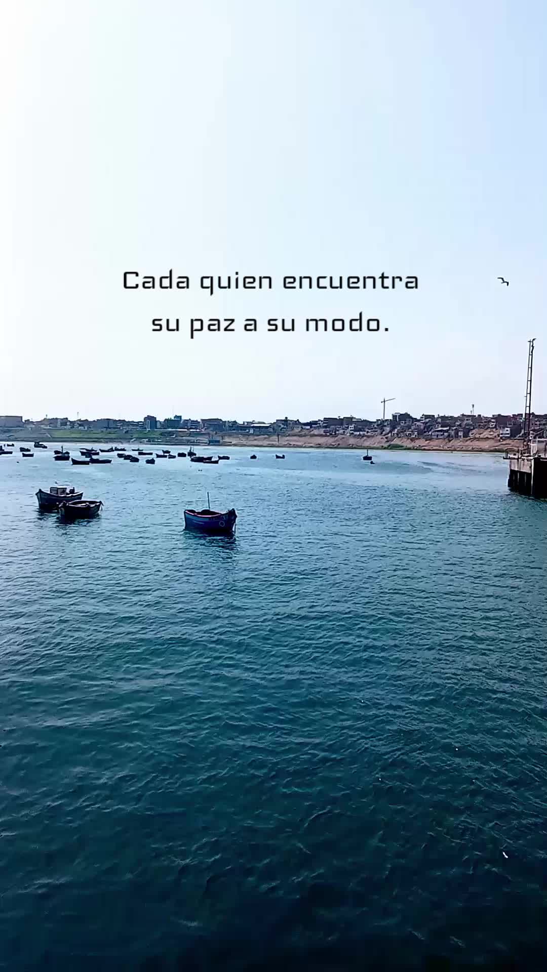 @Nani Torres