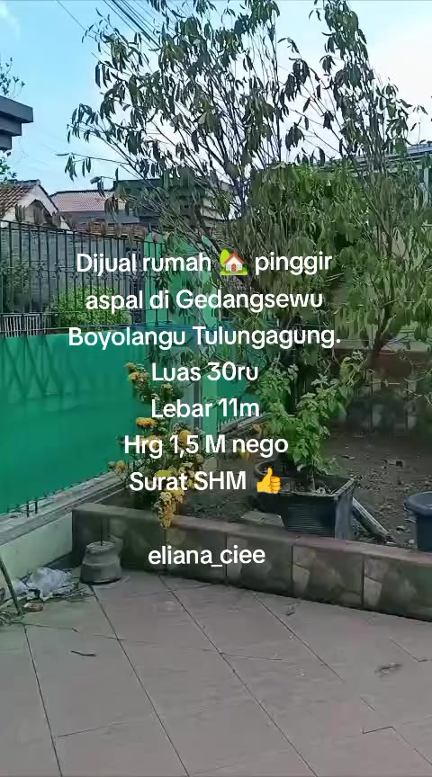 @eliana