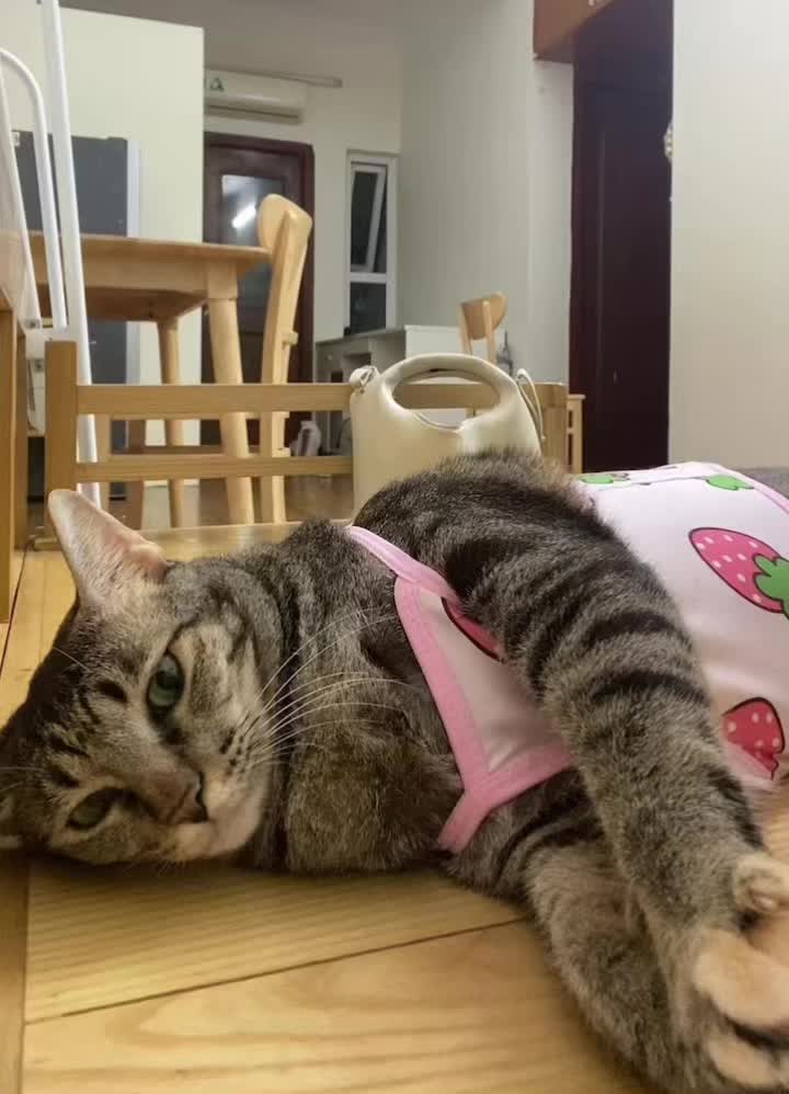 @sendituyen