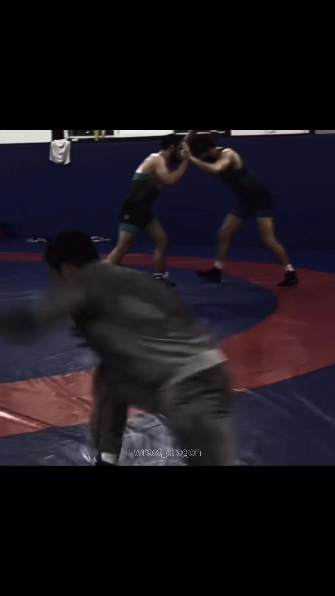 @wrest_dragon