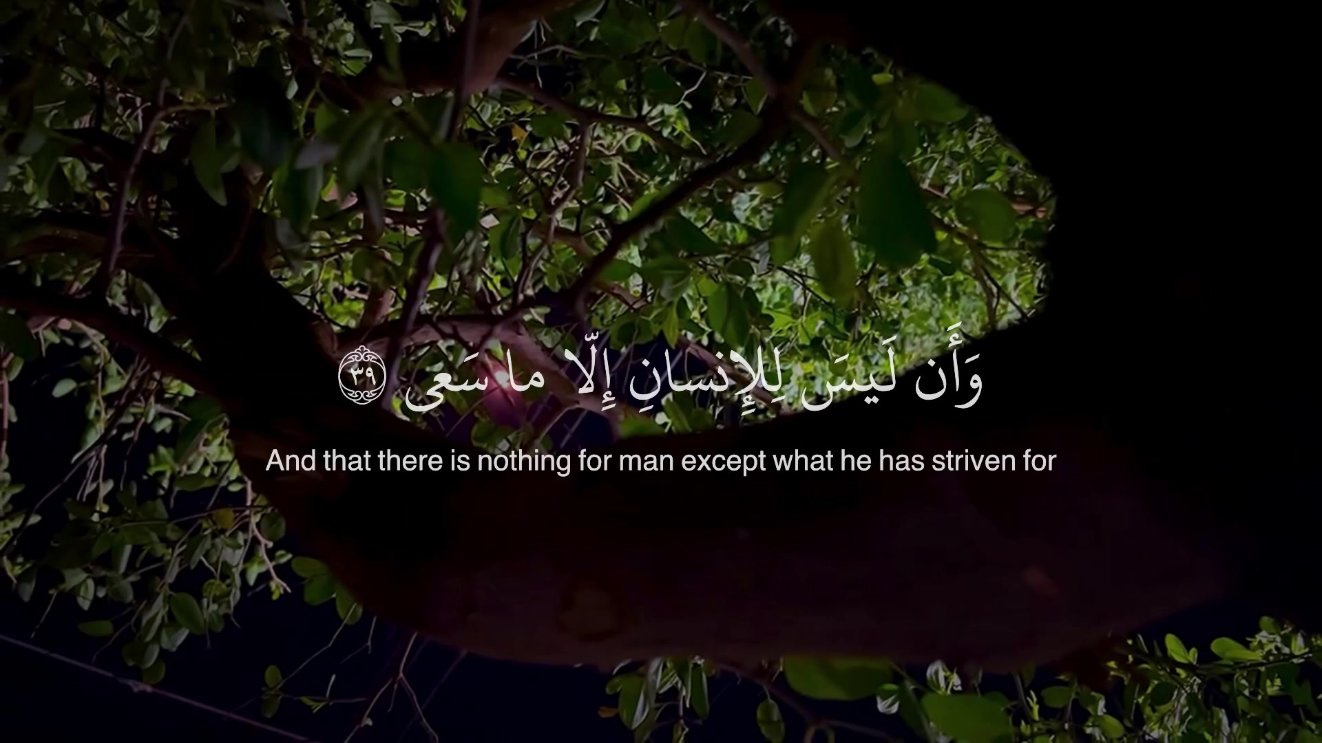 @قرآن || Quran