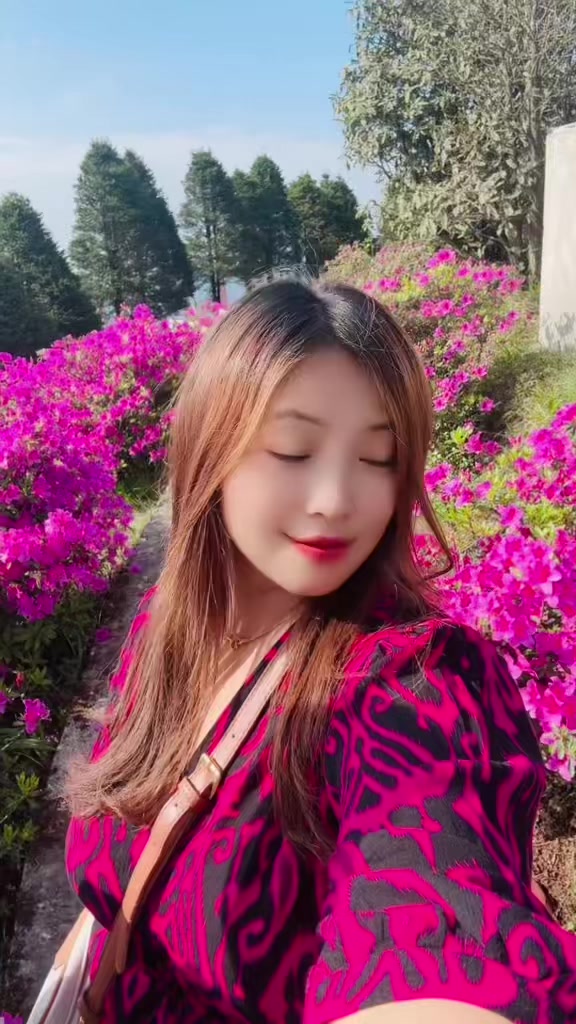 @Chesung 🕊️