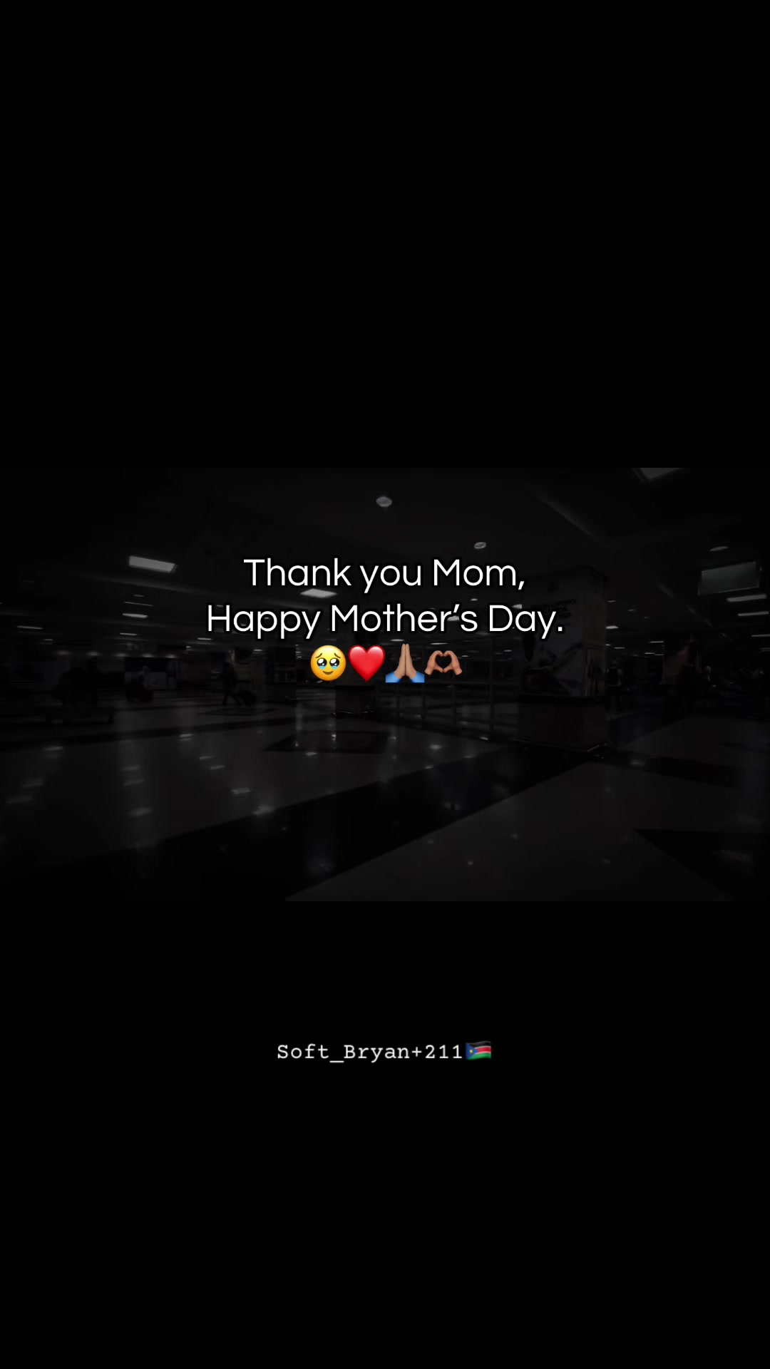 @SoftBryan+211🇸🇸