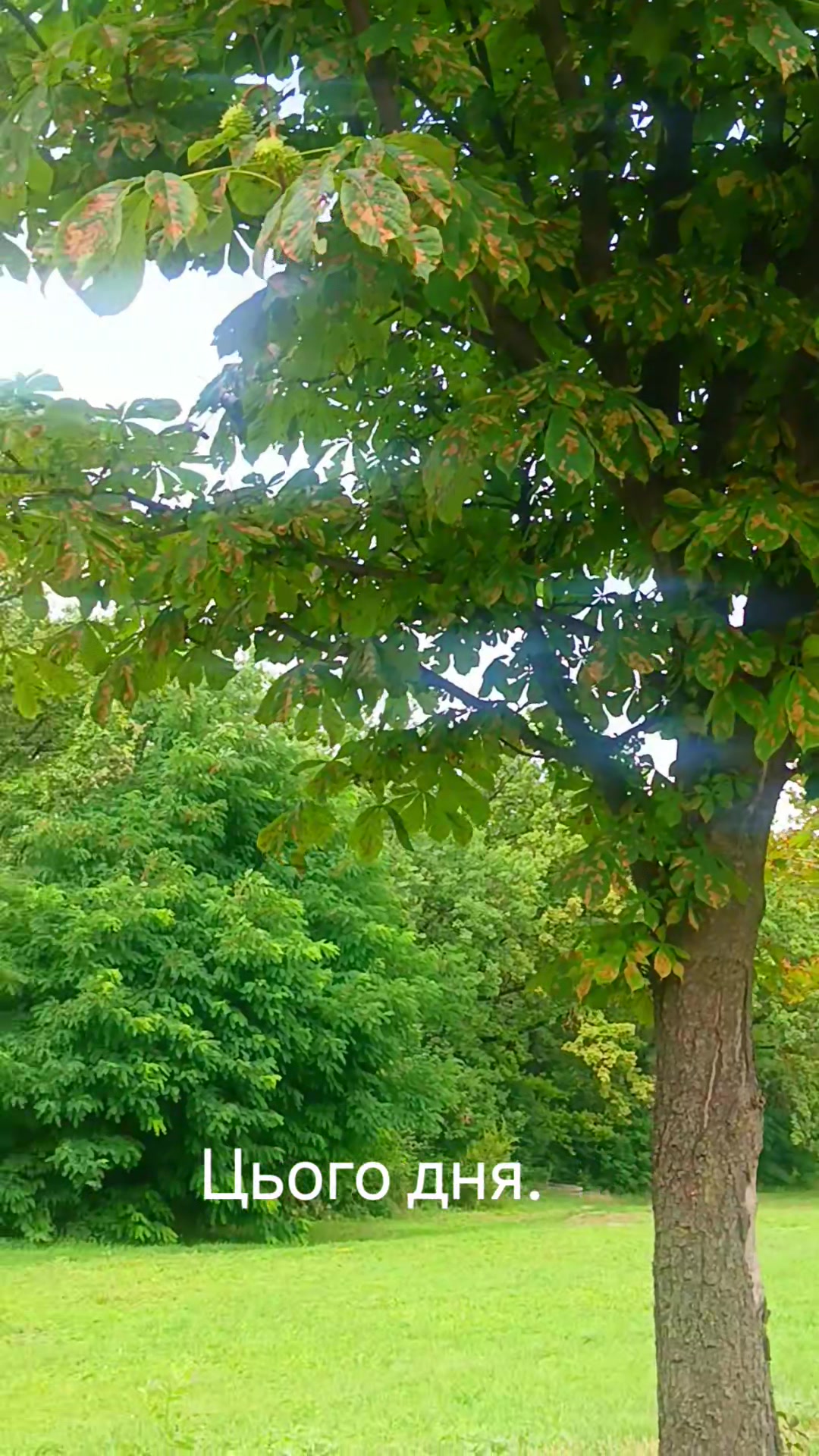 @❤️❤️Катерина 💛💙💛💙