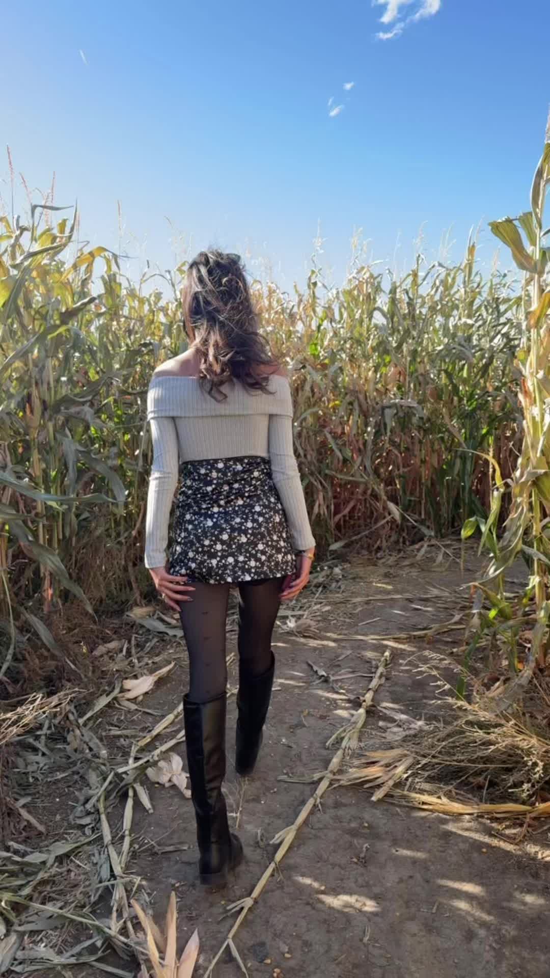 @🪷