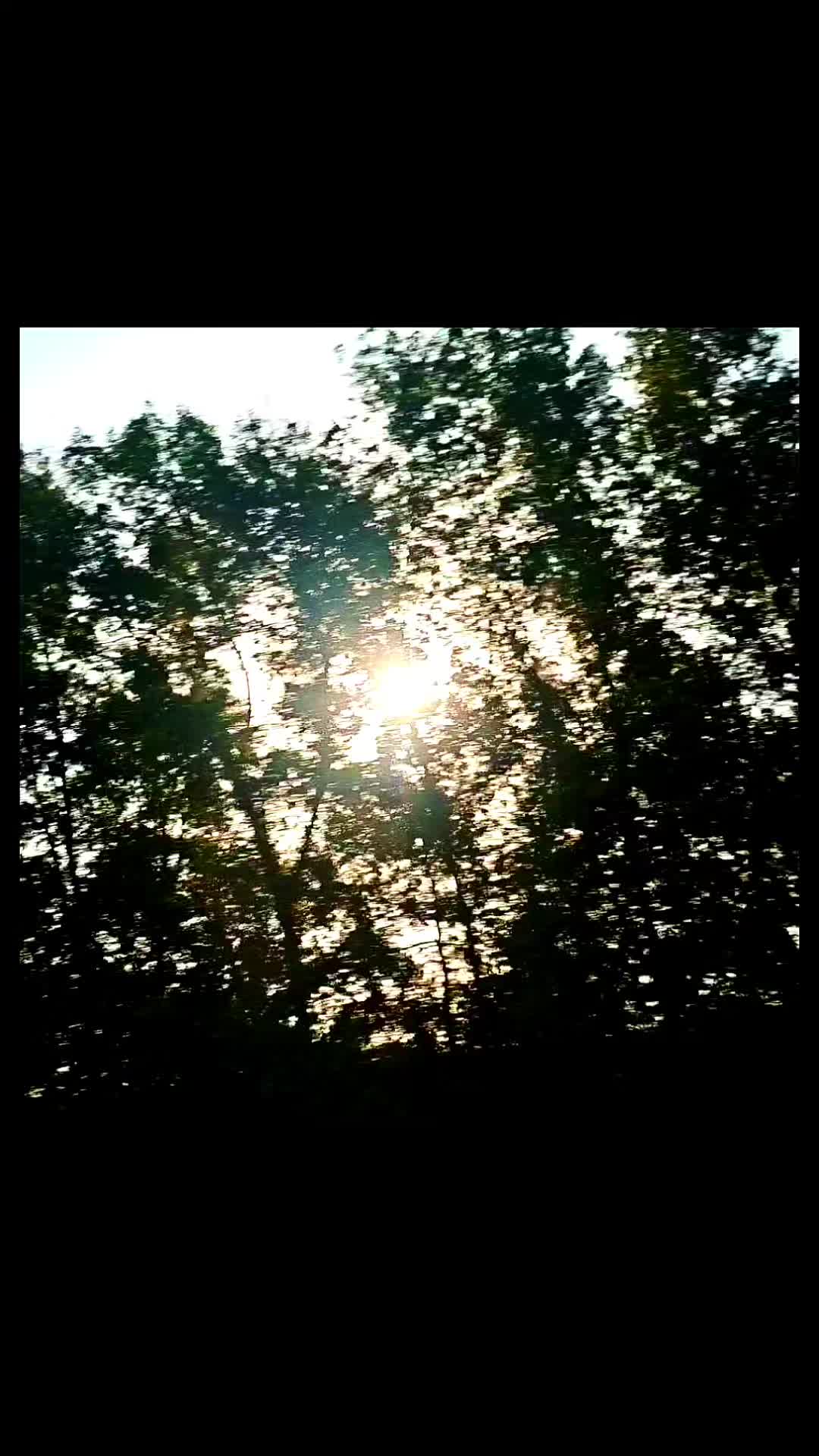 @N&oslash;&oslash;rɪғɪ&ccedil; ✨