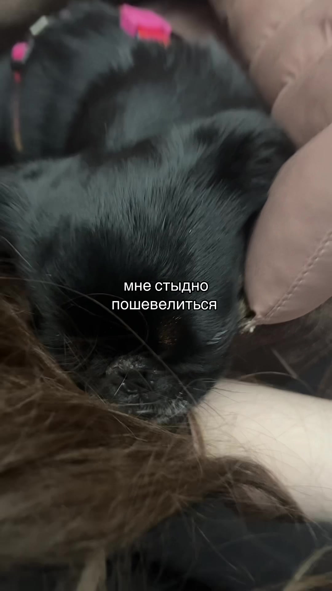 @софочка