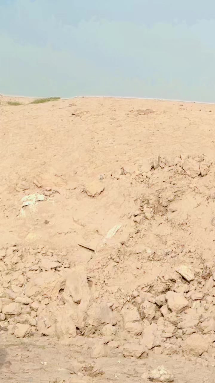 @👑شانی کھچی😎