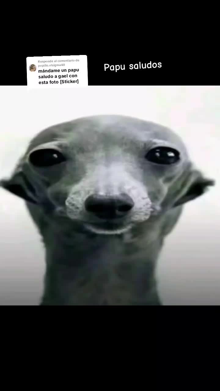 @Ivonne