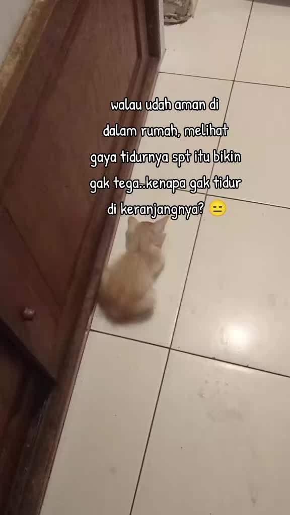 @apfia mei