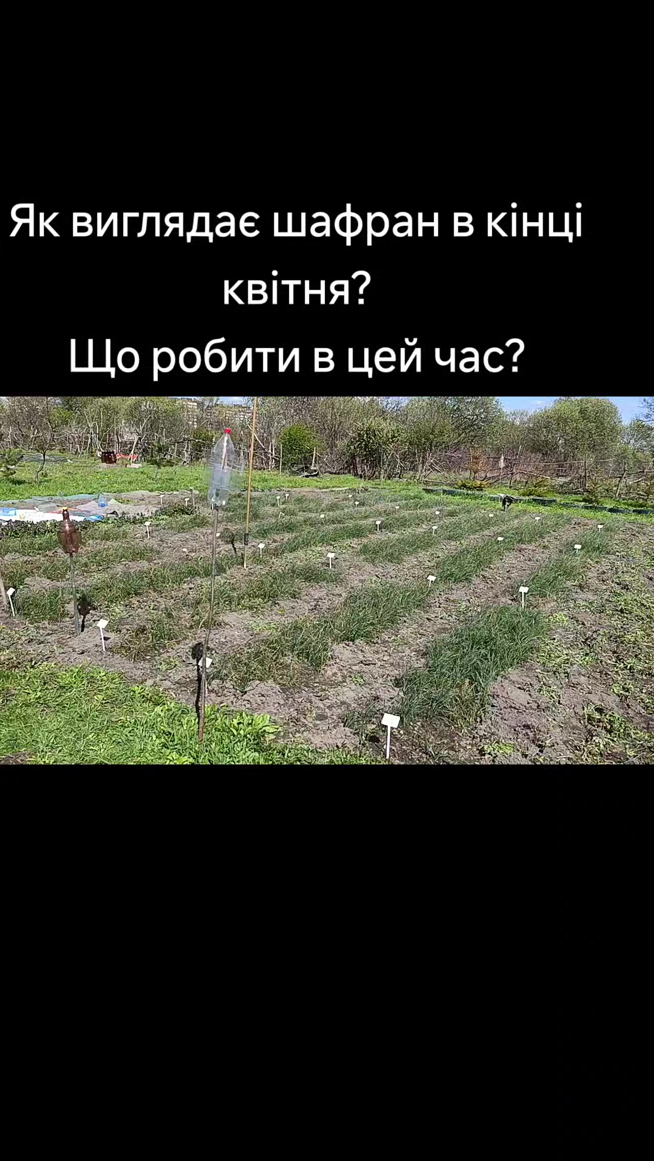 @Олег