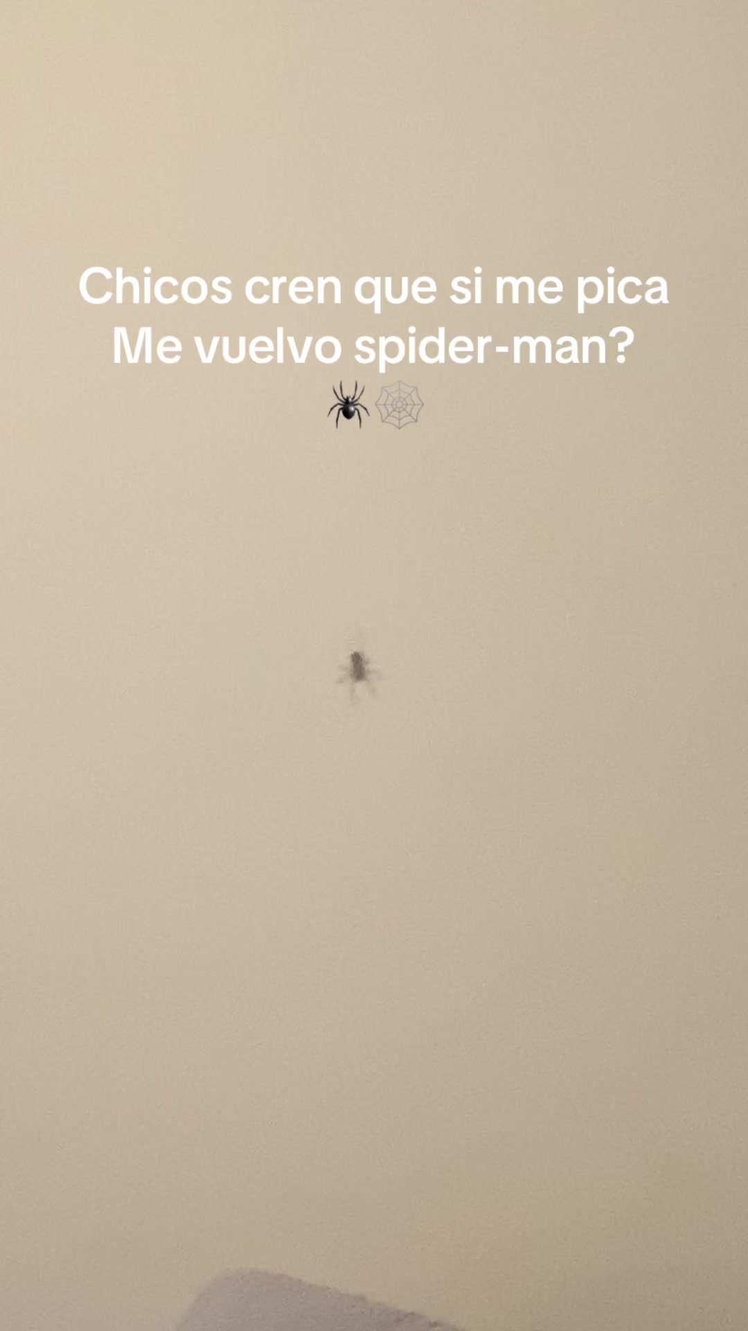 @Digmaboi