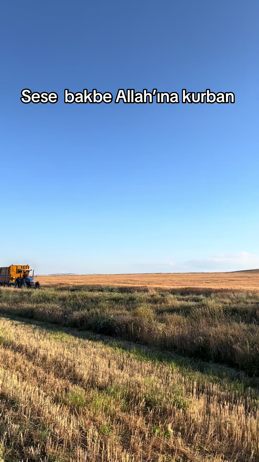 @Ş&uuml;kr&uuml; Sevindik