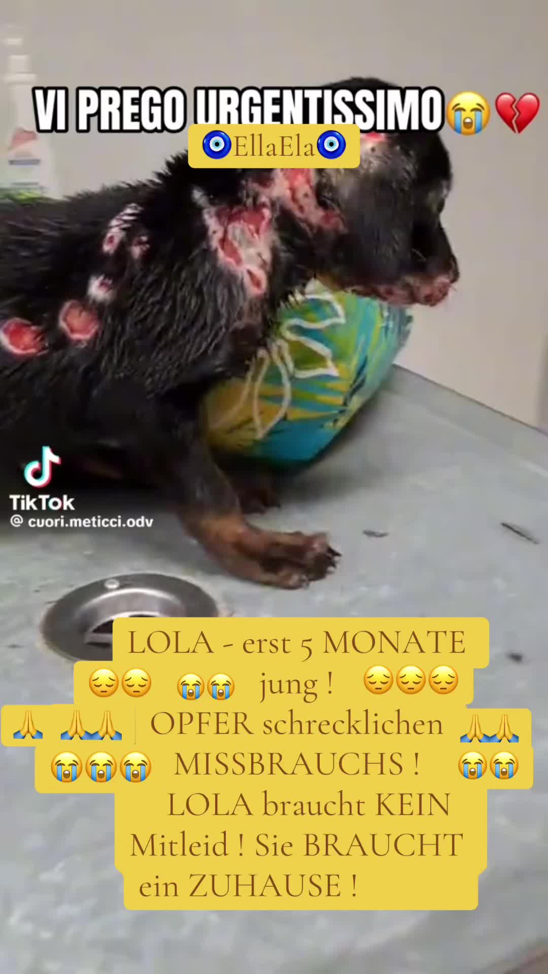 @EllaEla