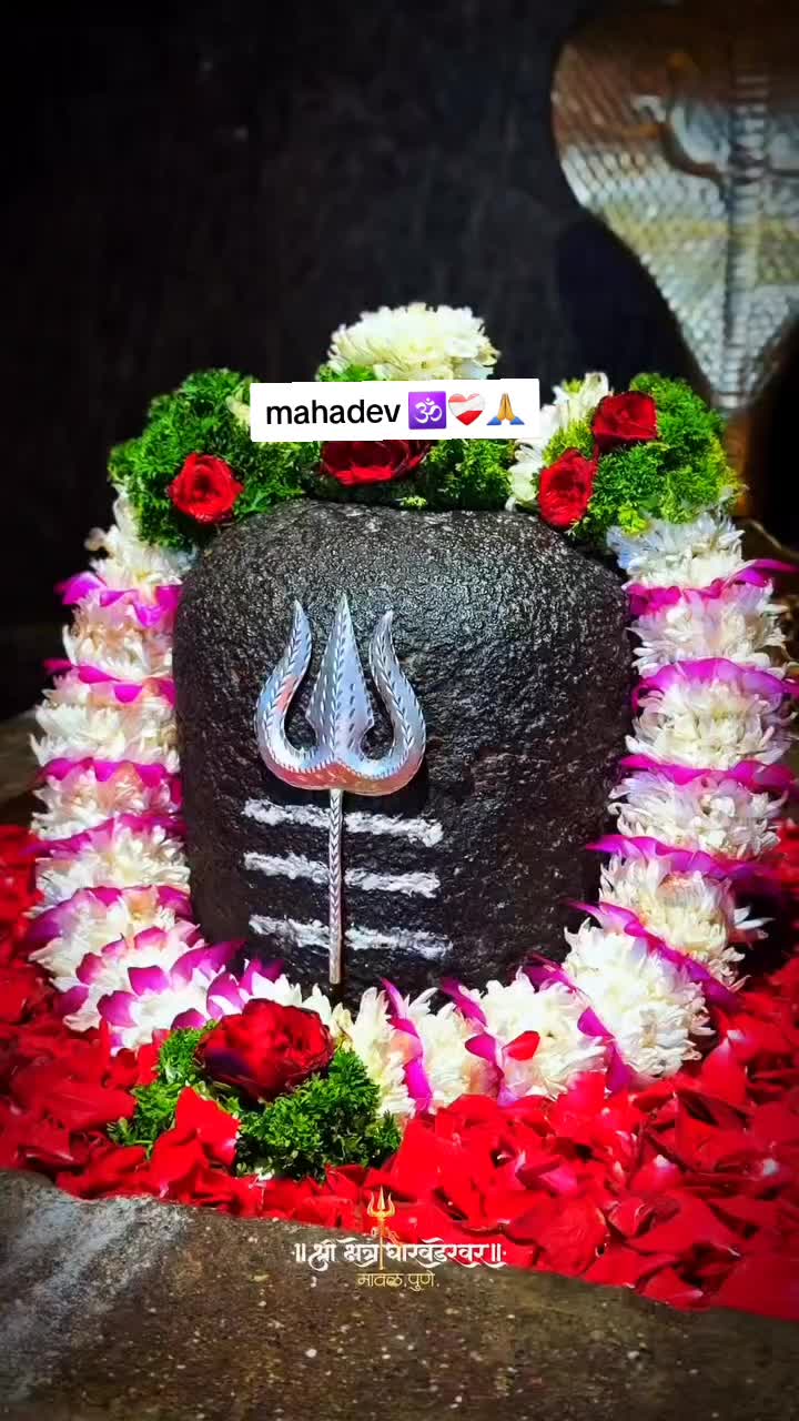 @🌙ऊं_नम _शिवाय 🔱📿🌍