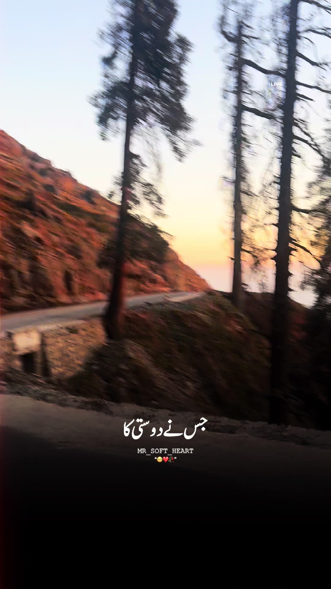 @🍁SARDAR🍁