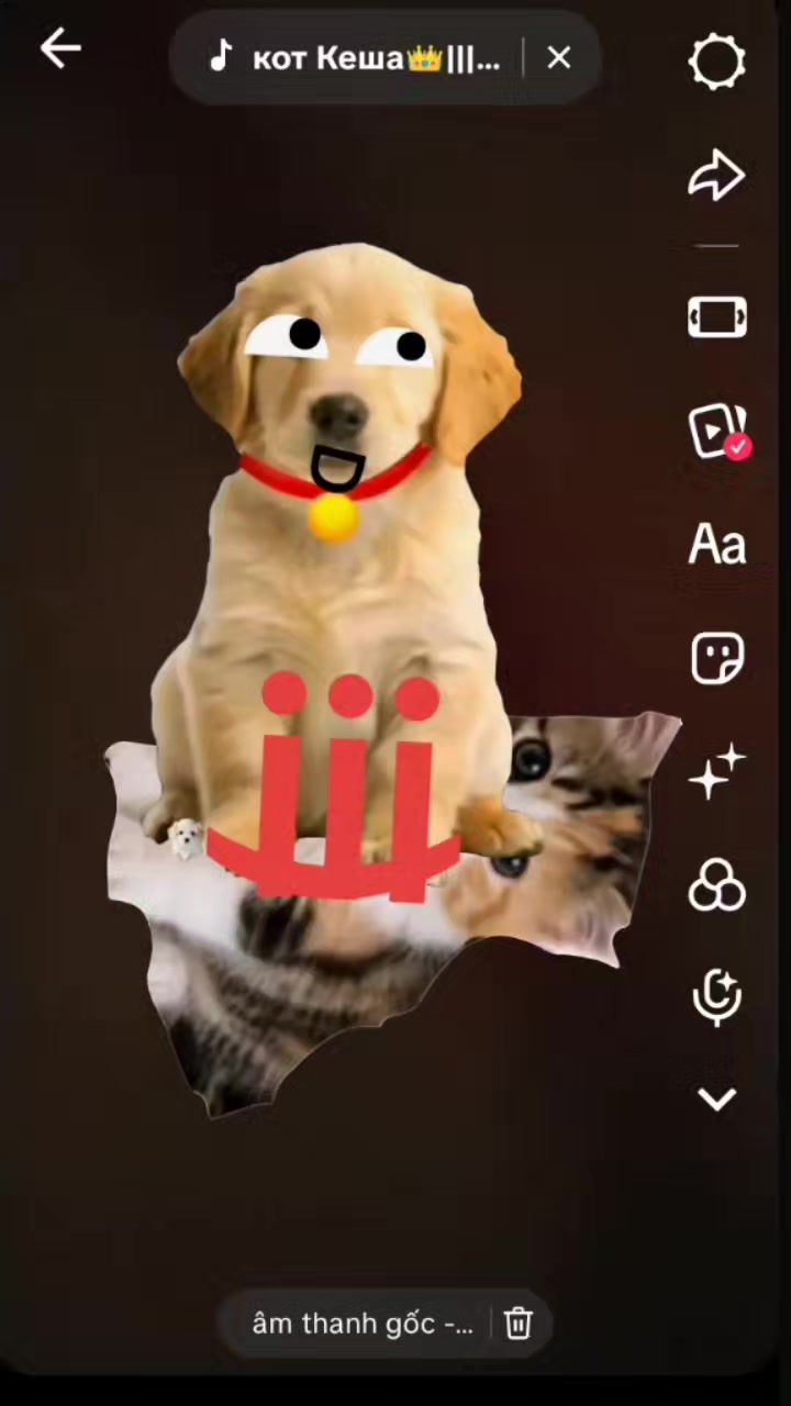 @....