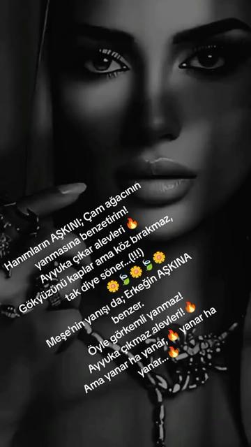 @BİR SERÇENİN GÖZYAŞ🕊️🕊️🕊️