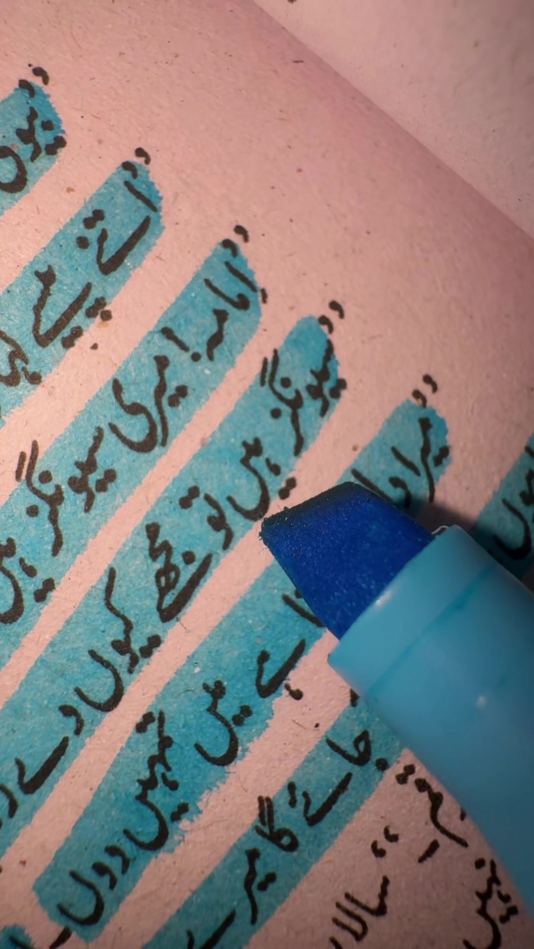@حیانور✨