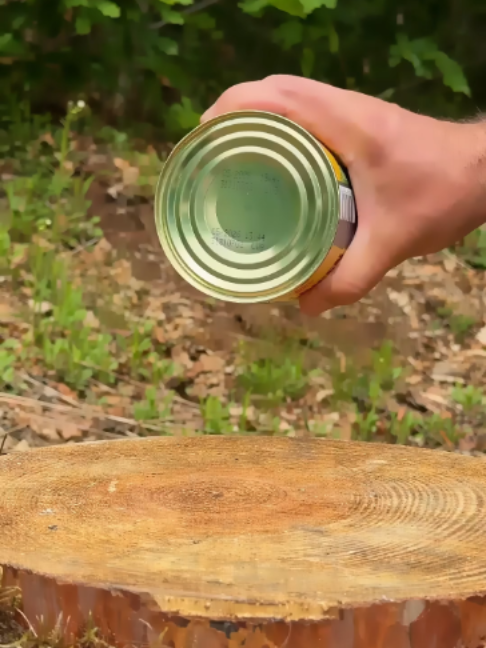 @Survival Skills TV