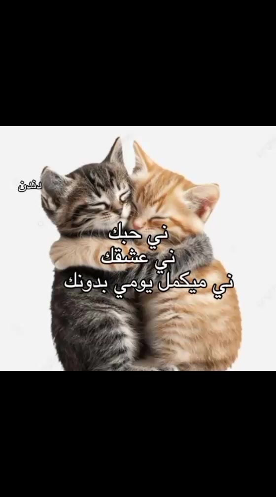 @دندن