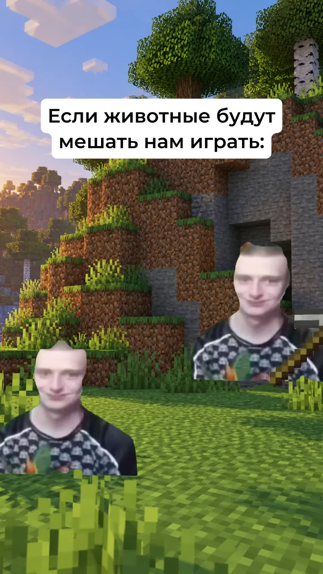 @zyfe