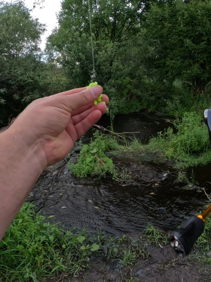 @Колька Рыбак👦🎣