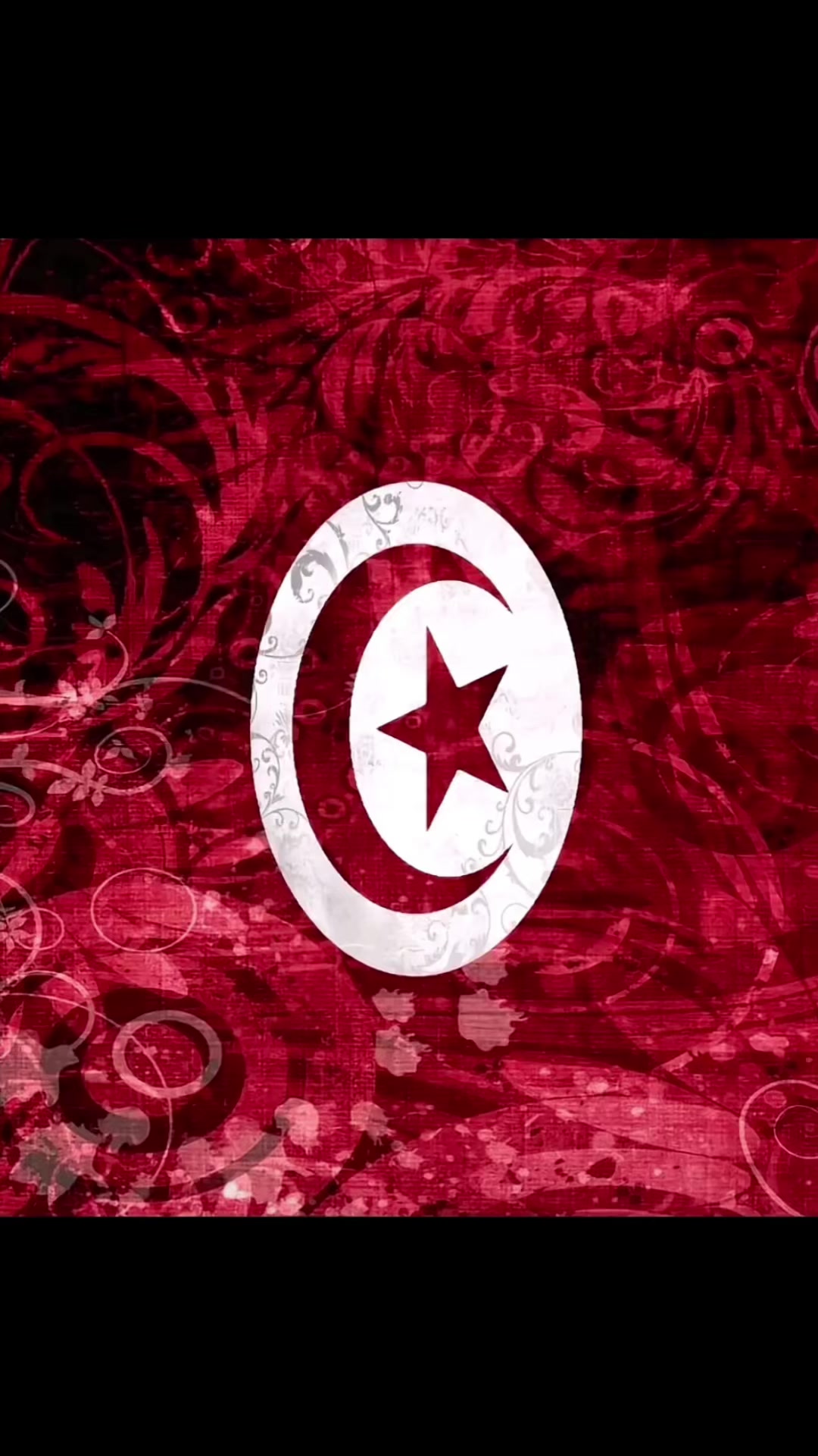 @Hamza 🇹🇳🇵🇸