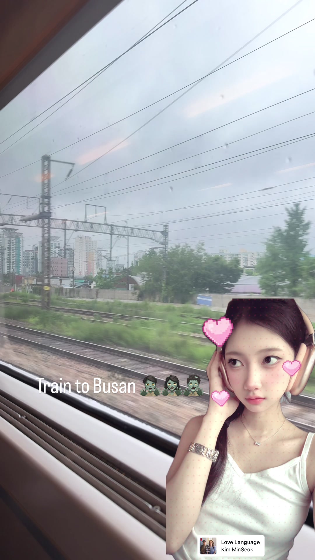 @โมจ้ำไม่เคยแมว