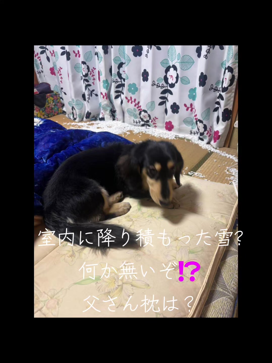 @hiro110