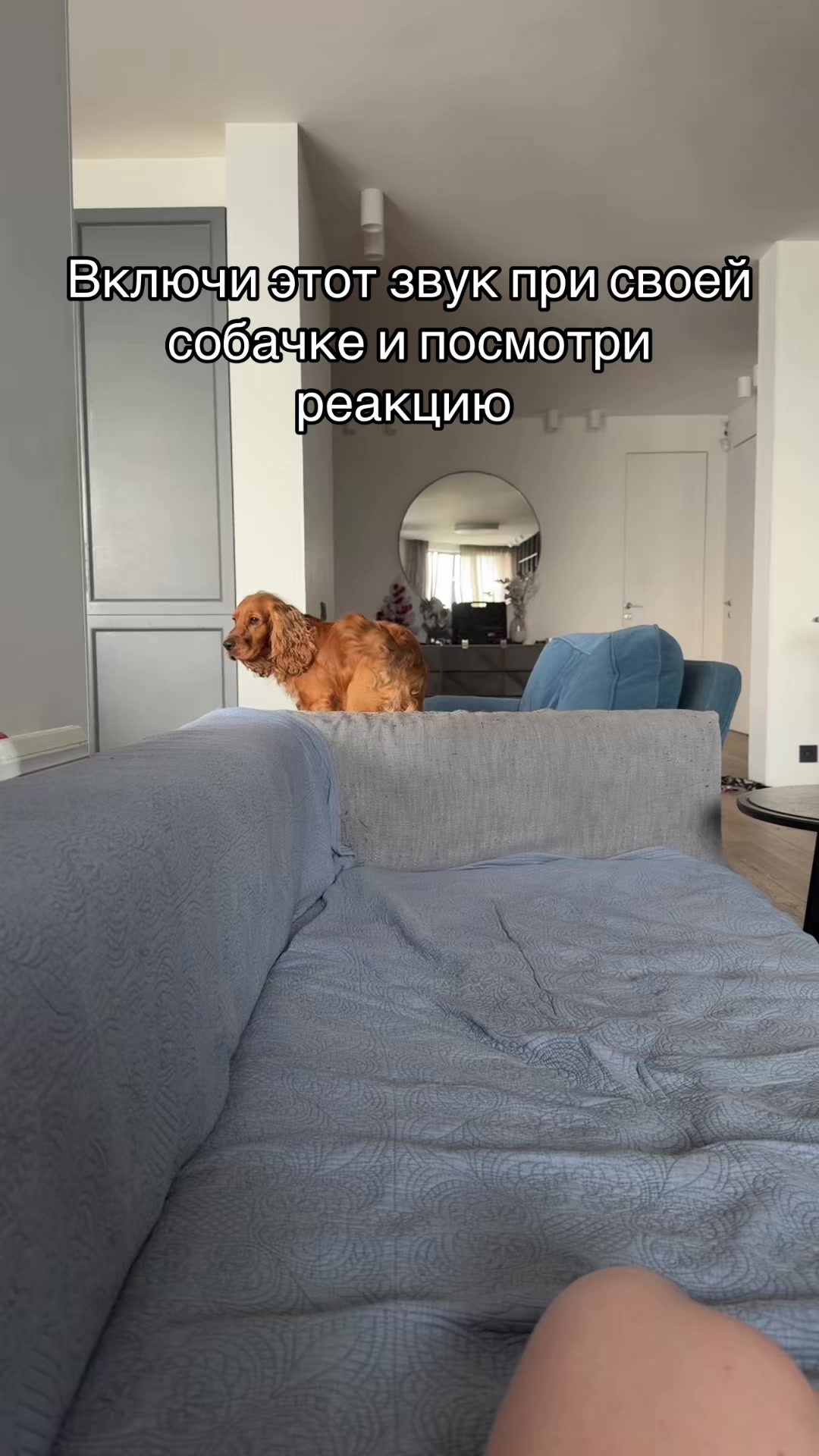 @Елизавета Шелег