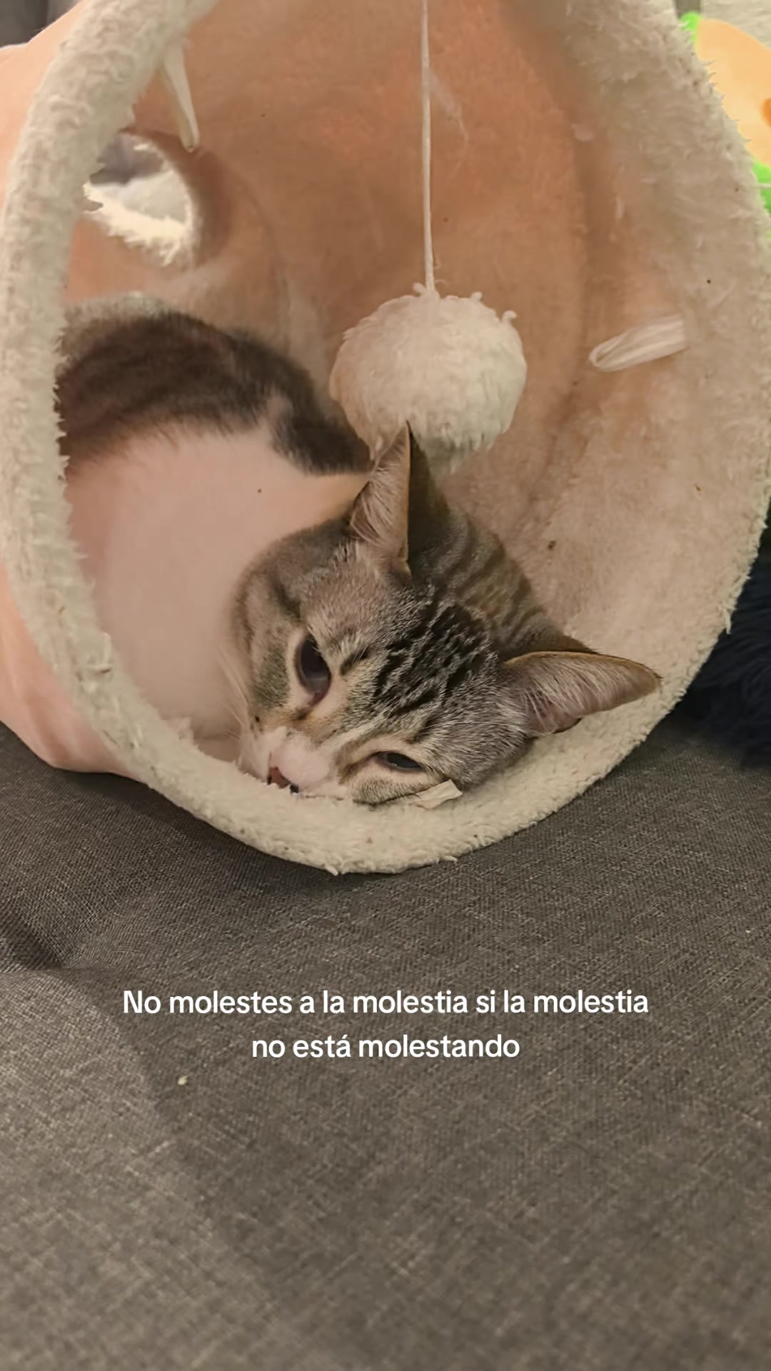 @Krys krys