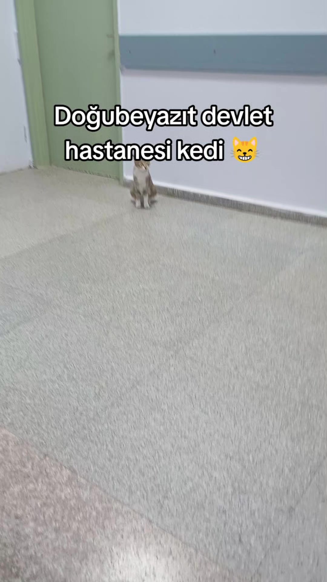 @bazidli adem04