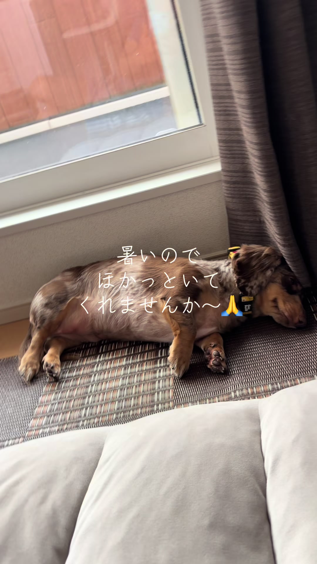 @ケン