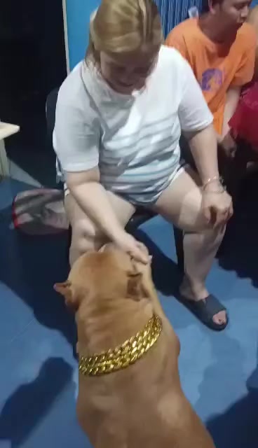 @ISKO THE PITBULL