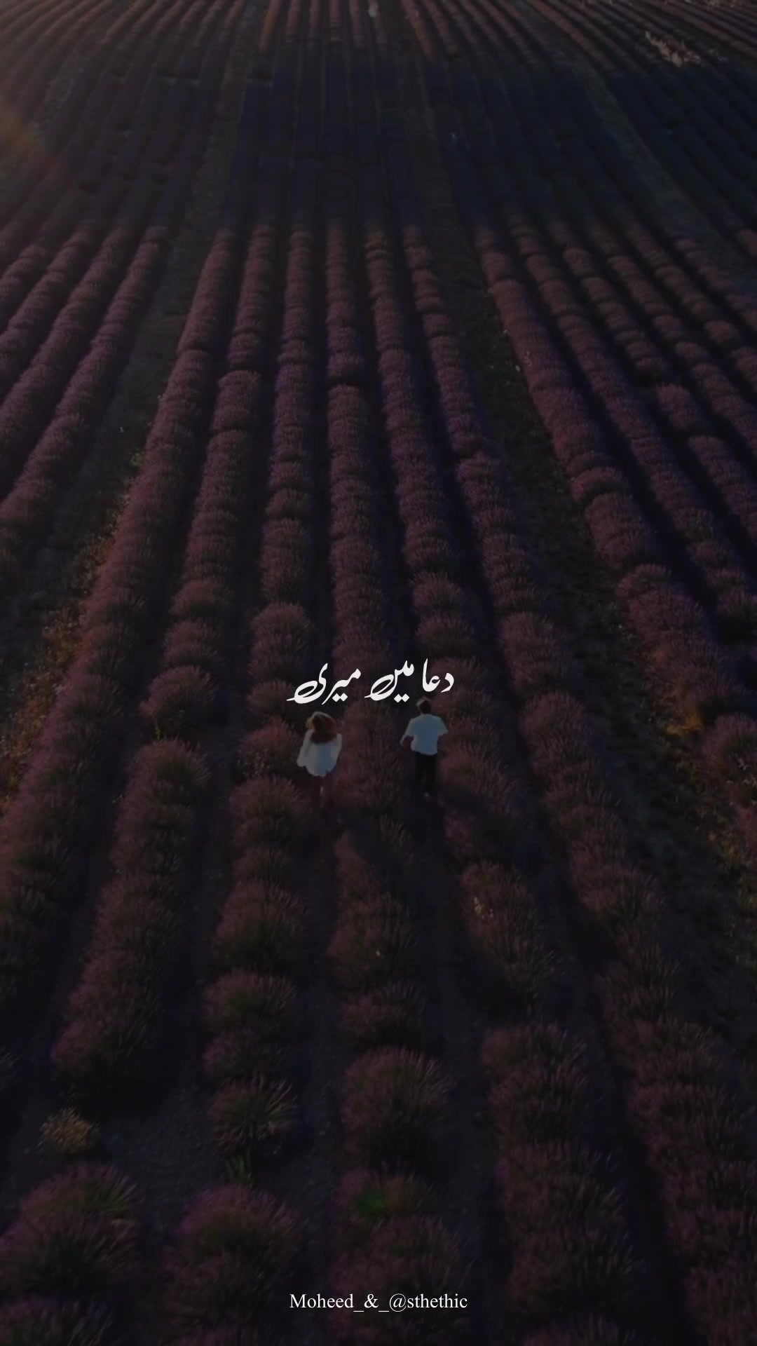 @Moheed astethic ๐๐๏ธ๐คญ