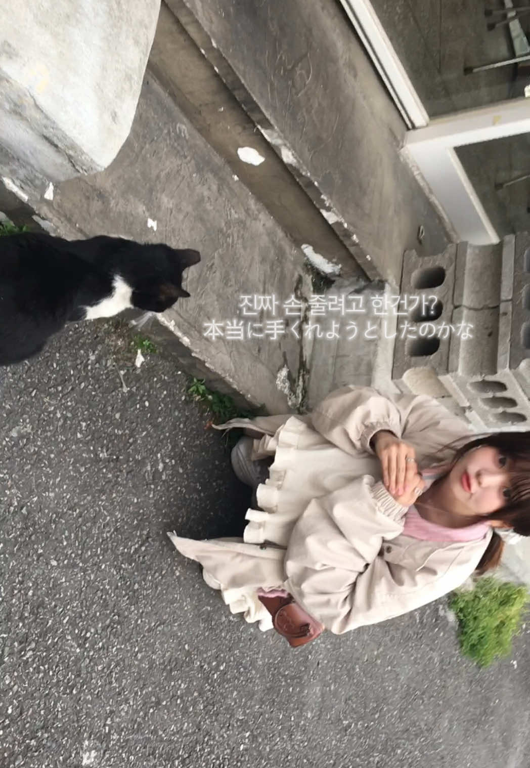 @ちせ (치세)