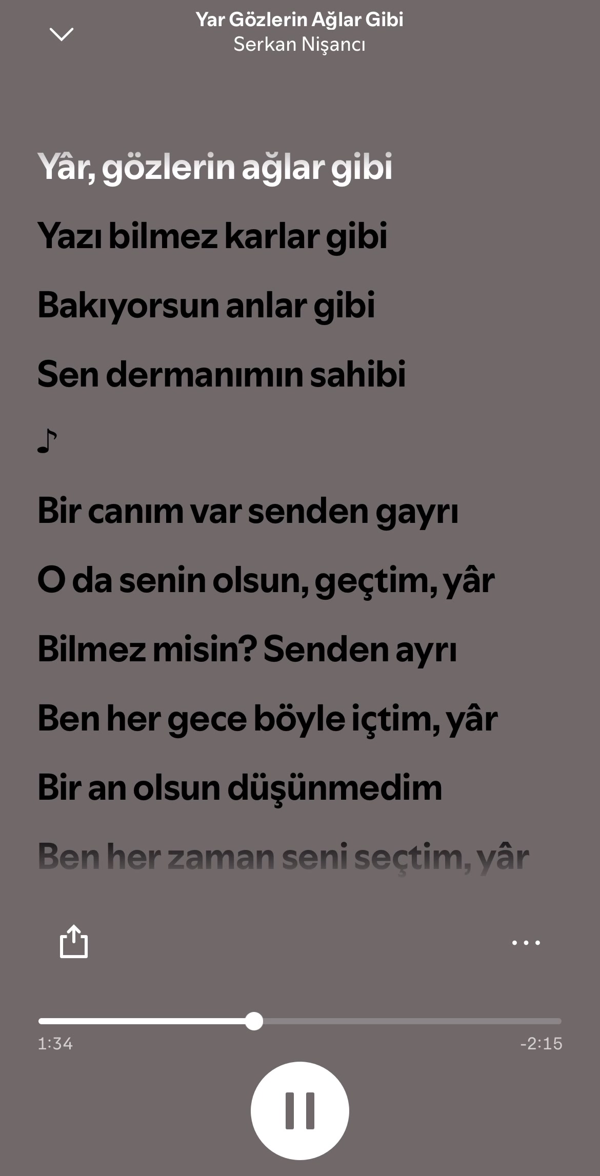 @spotifyspeed.tr