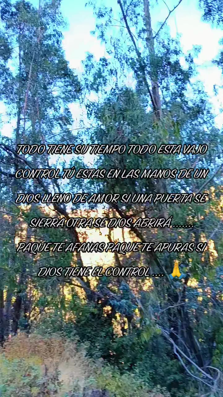 @LauMarleM🇵🇪💚