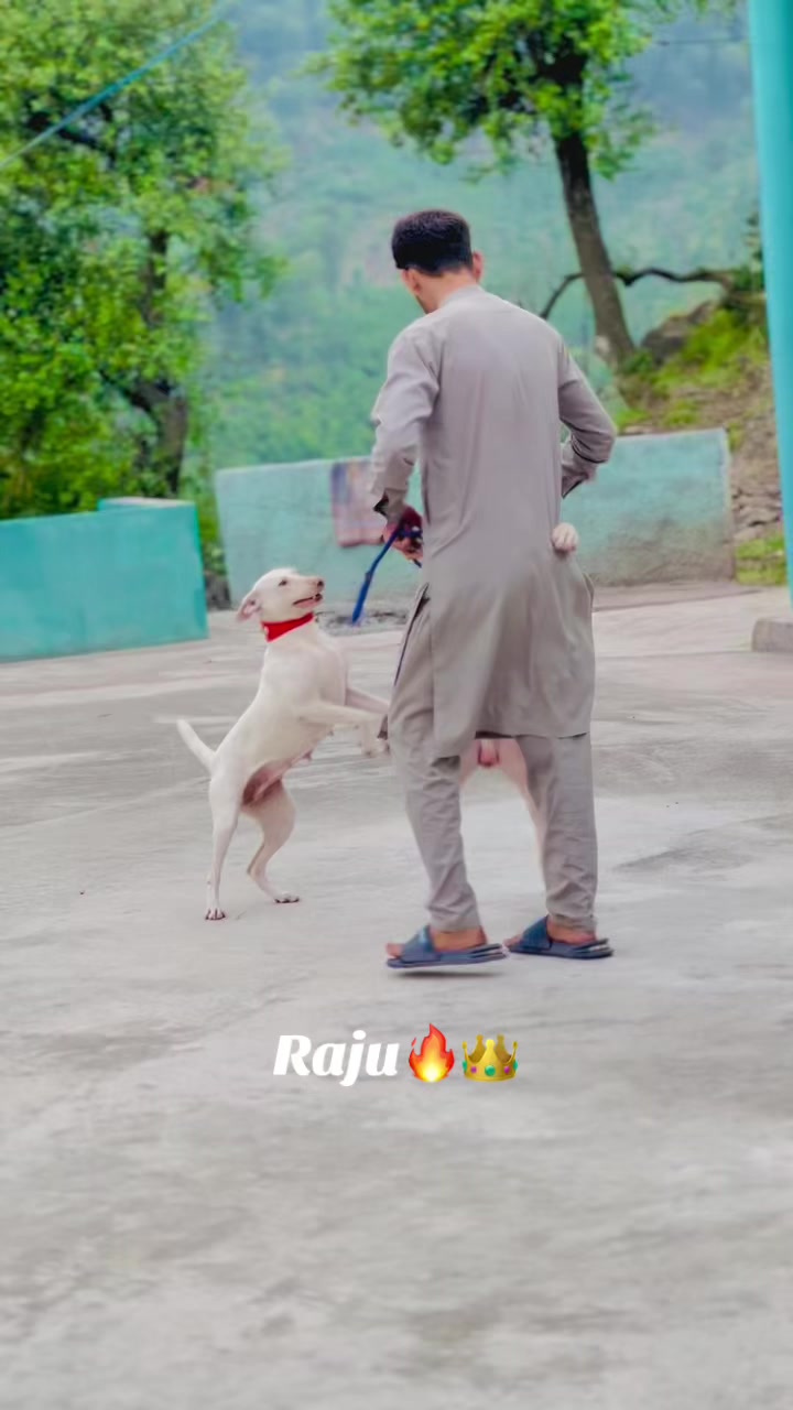 @gultair Lover ✨❤️