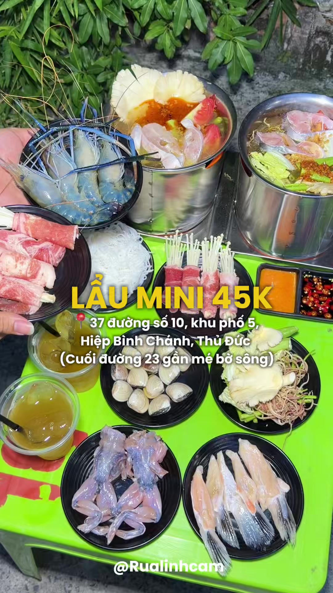 @Rùa Linh Cảm 🐢