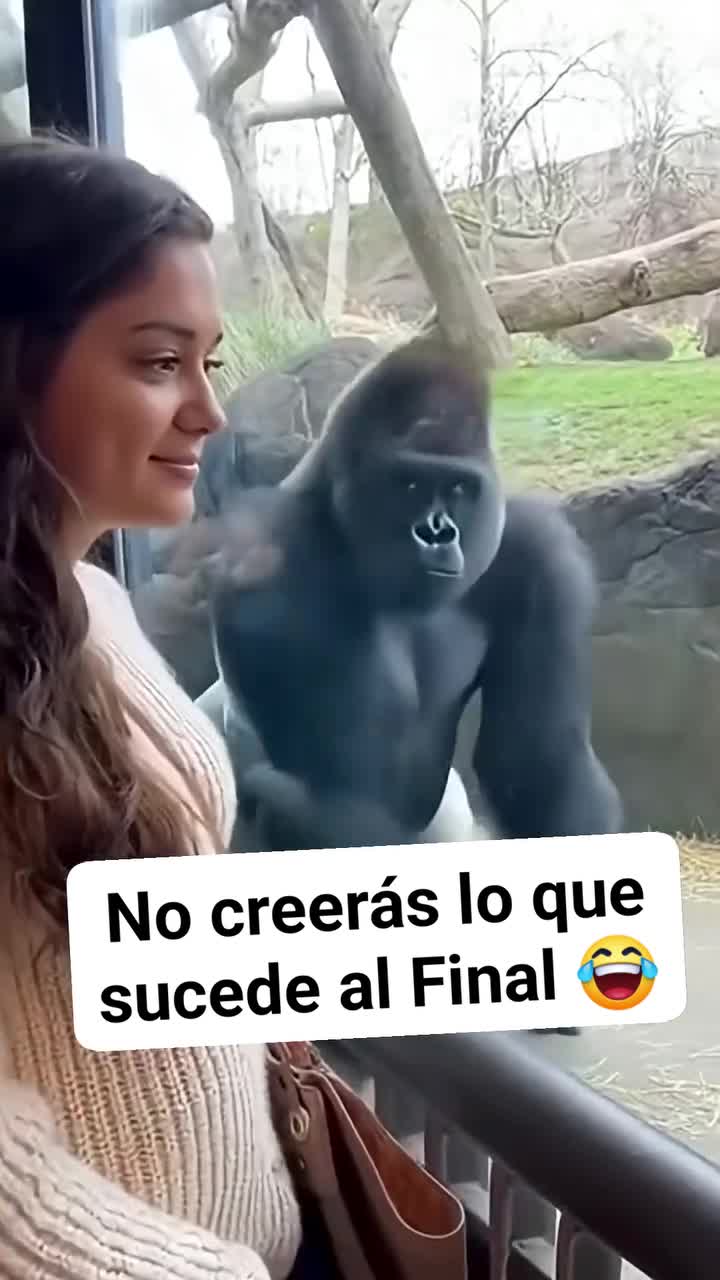 @LA VIDA ES UNA NOTA - SIGUEME