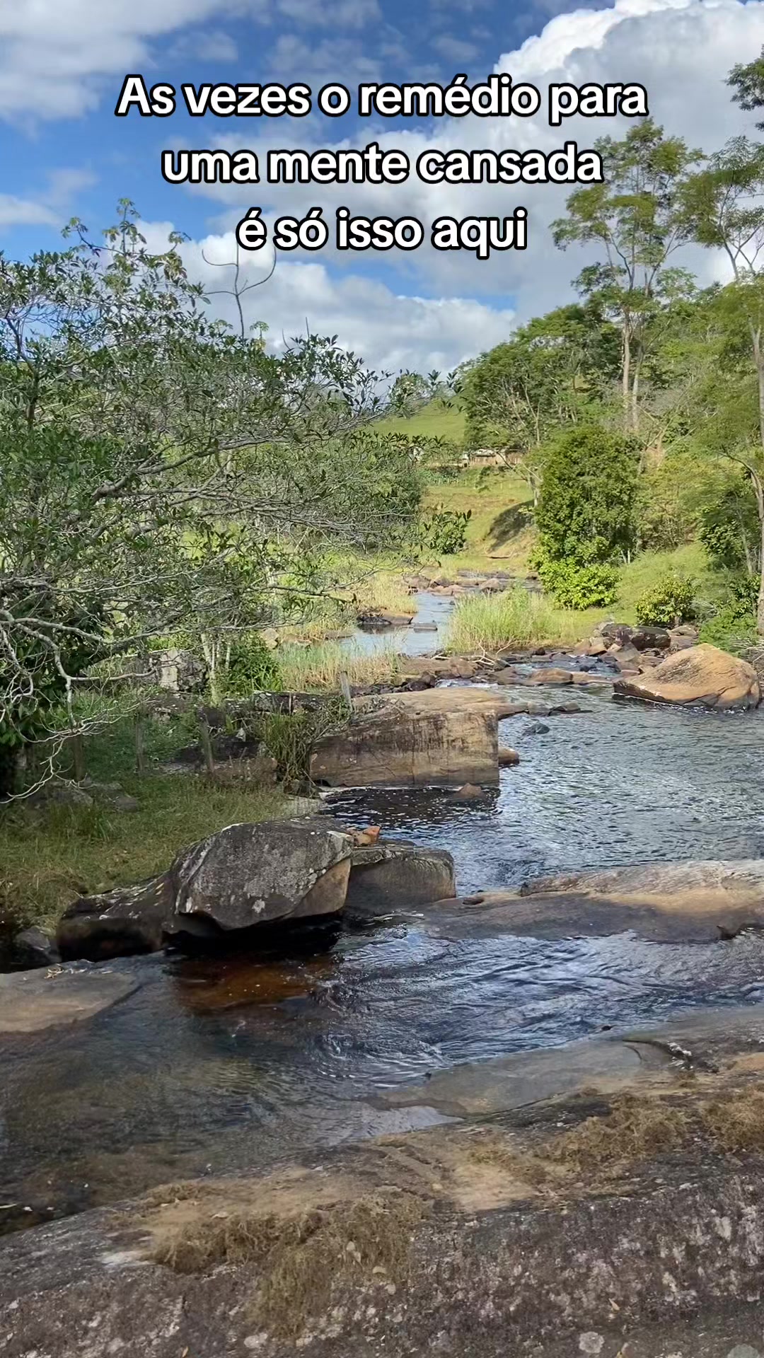 @Roça 🤠🌱