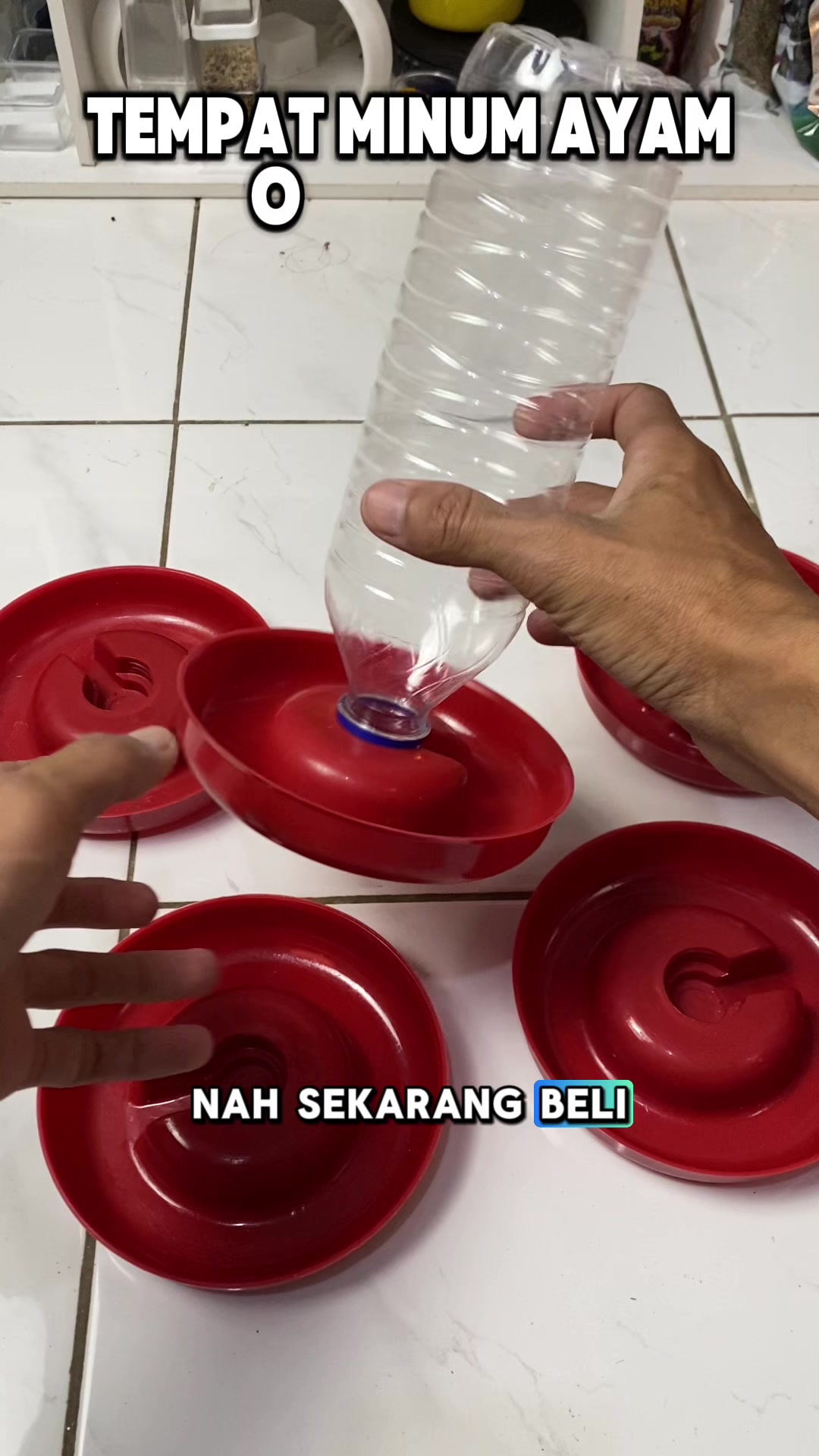@kicau mart